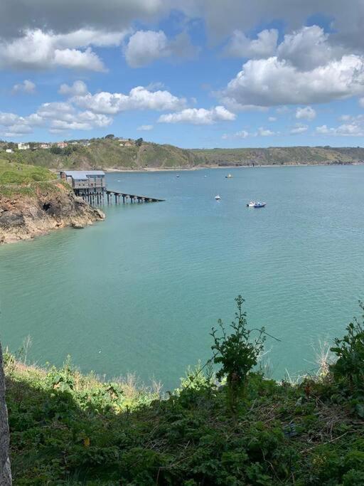 Lobster Cottage - Stylish 3 Bedroom Cottage In Heart Of Tenby Town, Pembrokeshire 外观 照片